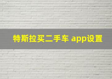 特斯拉买二手车 app设置